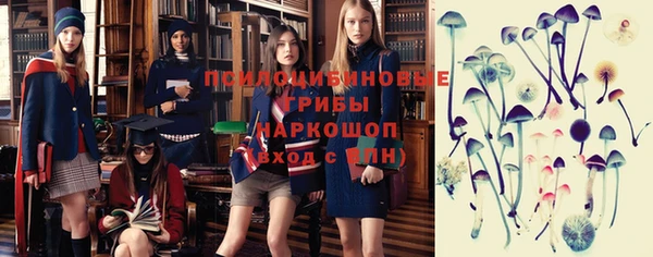 ECSTASY Волоколамск