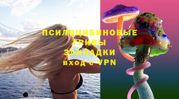 Альфа ПВП Володарск