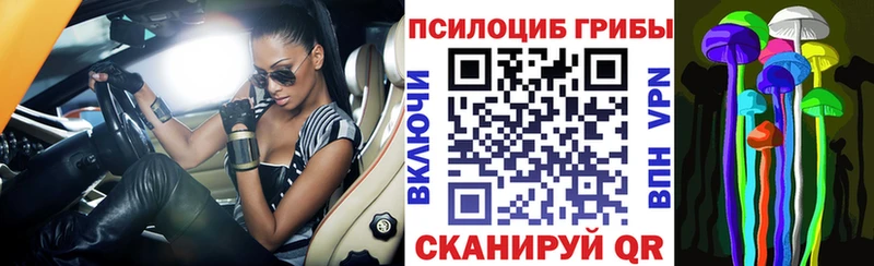 закладки  маркетплейс официальный сайт  Псилоцибиновые грибы мухоморы  Пущино 